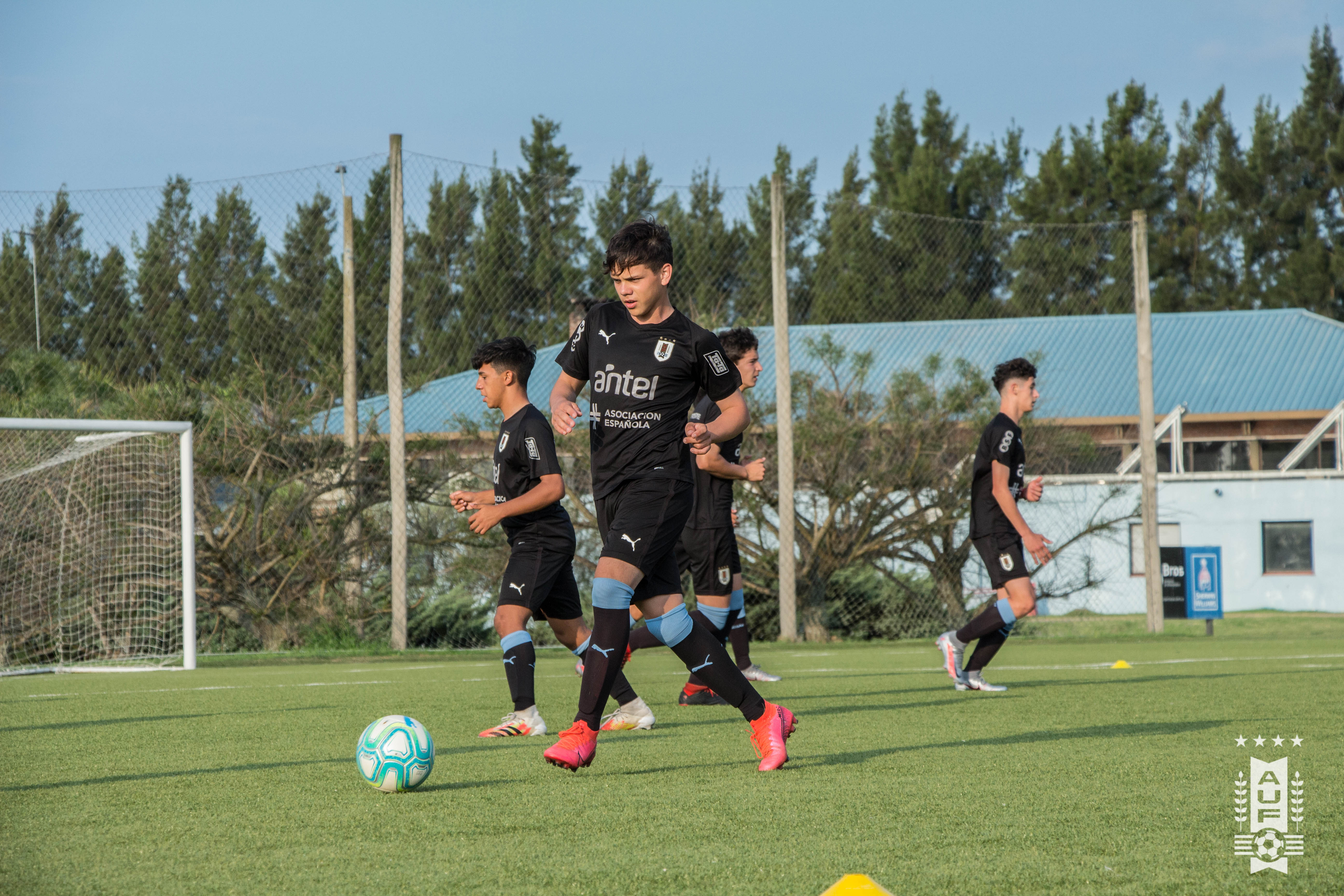 Selección Sub 15 Auf 